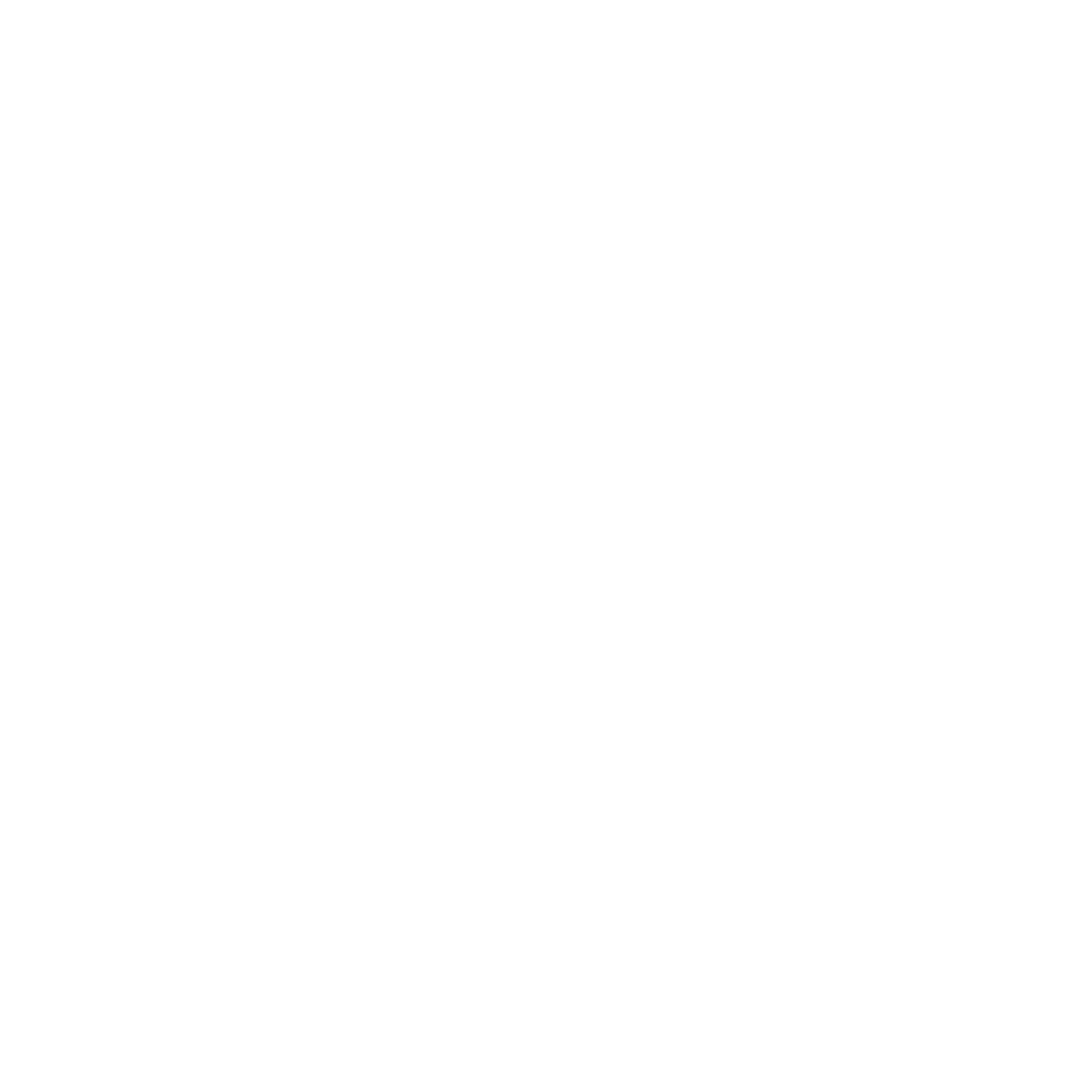 Big Fat BD BBQ